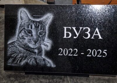 Гранитный памятник коту с портретом и гравировкой Таллин — Avrora Kivi Lemmiklooma mälestuskivi graveeringuga Tallinnas