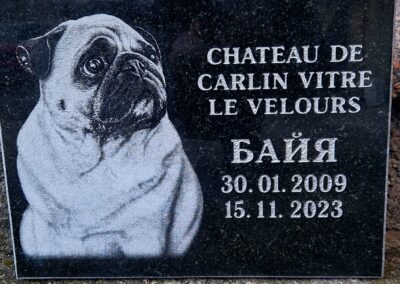 Гравировка портрета французского бульдога на памятнике — Avrora Kivi Prantsuse buldogi portree graveerimine mälestuskivile Tallinnas