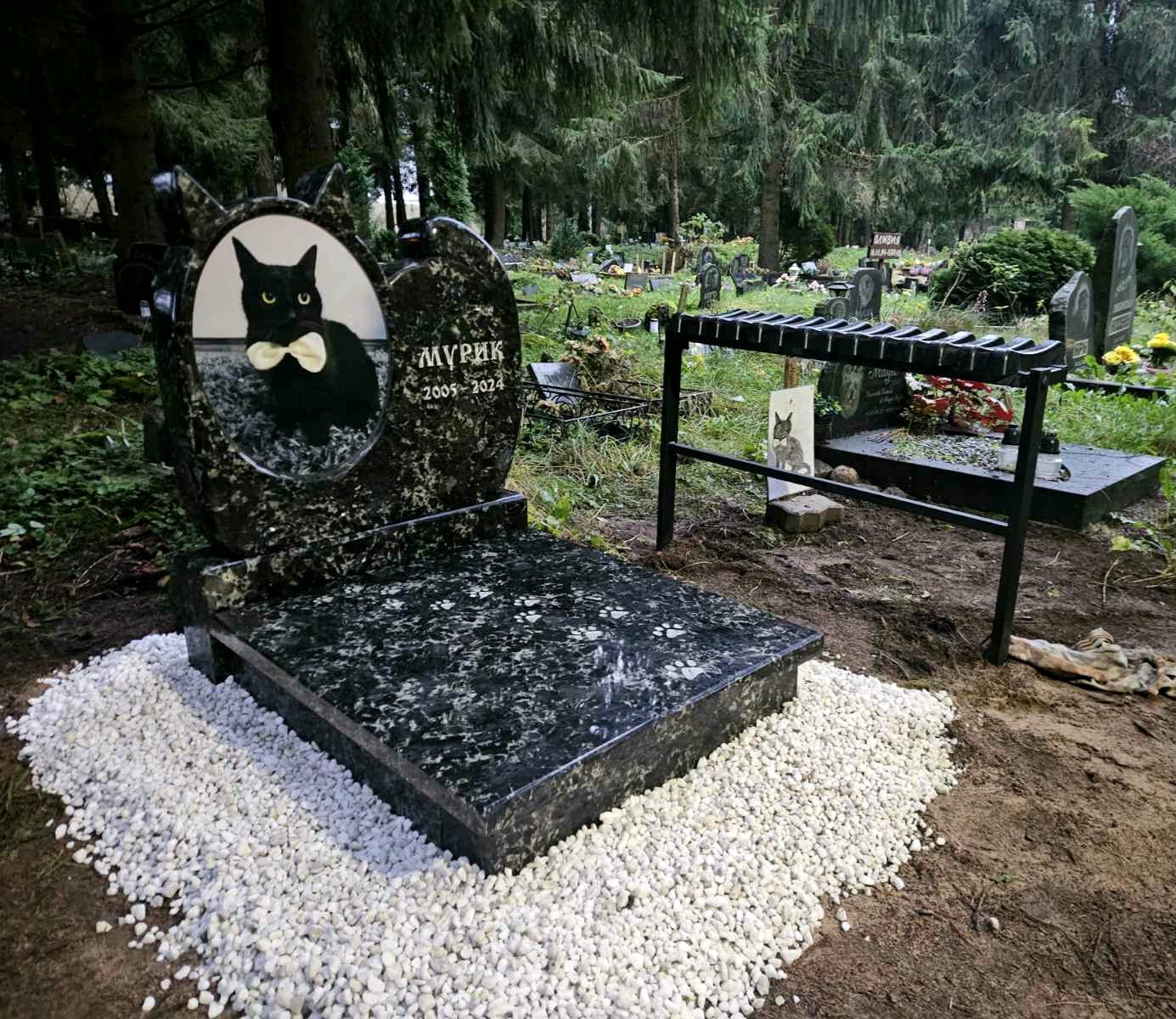 Гранитный памятник коту с цветным портретом в стекле и оградой / Graniidist mälestussammas kassile klaasist värviportree ja piirdega.